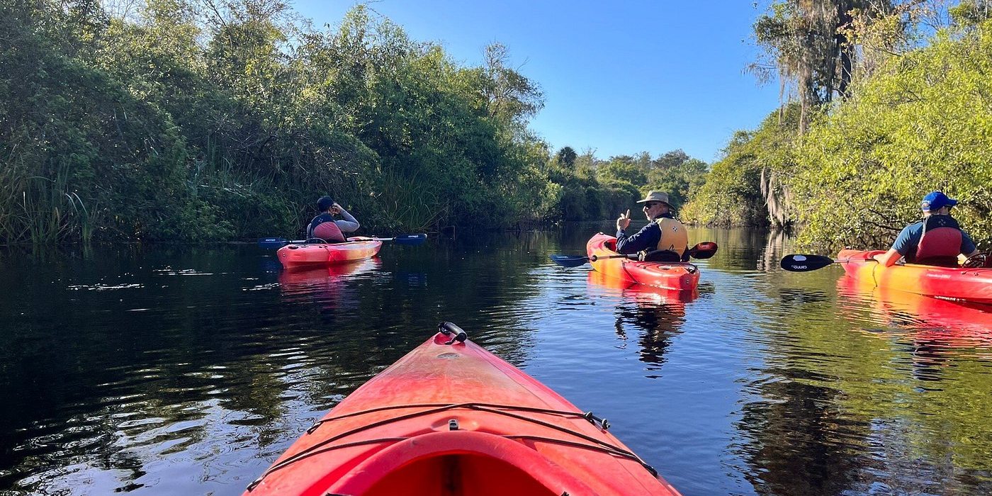 Group paddle